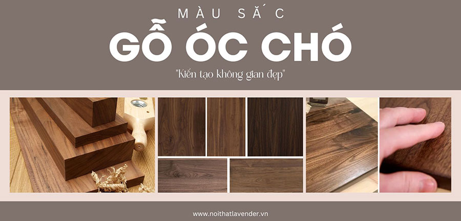 Màu Sắc Gỗ Óc Chó Và Cách Nhận Biết Gỗ Bị Làm Giả Màu Sắc