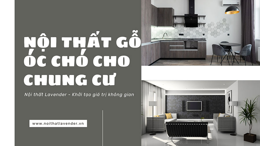 Thiết Kế và Thi Công Nội Thất Gỗ Óc Chó Cho Chung Cư 2024